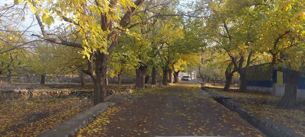 هود مخفی رابین